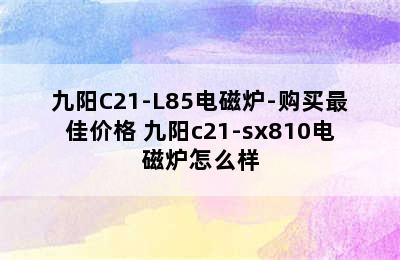 九阳C21-L85电磁炉-购买最佳价格 九阳c21-sx810电磁炉怎么样